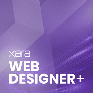 Web Designer+